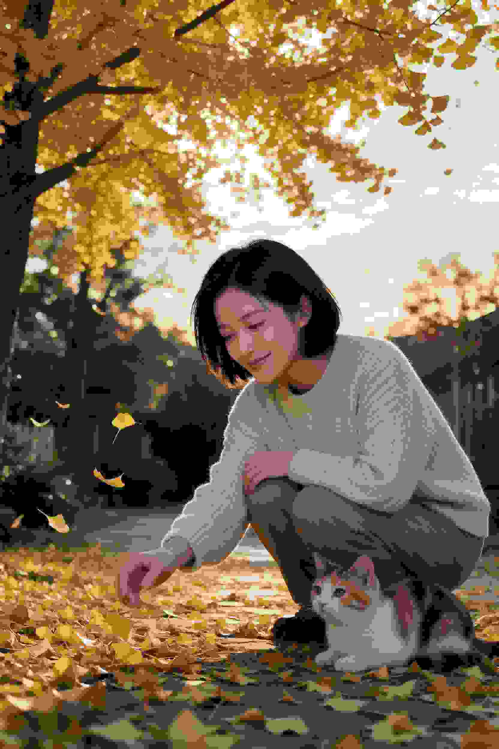 七龙珠